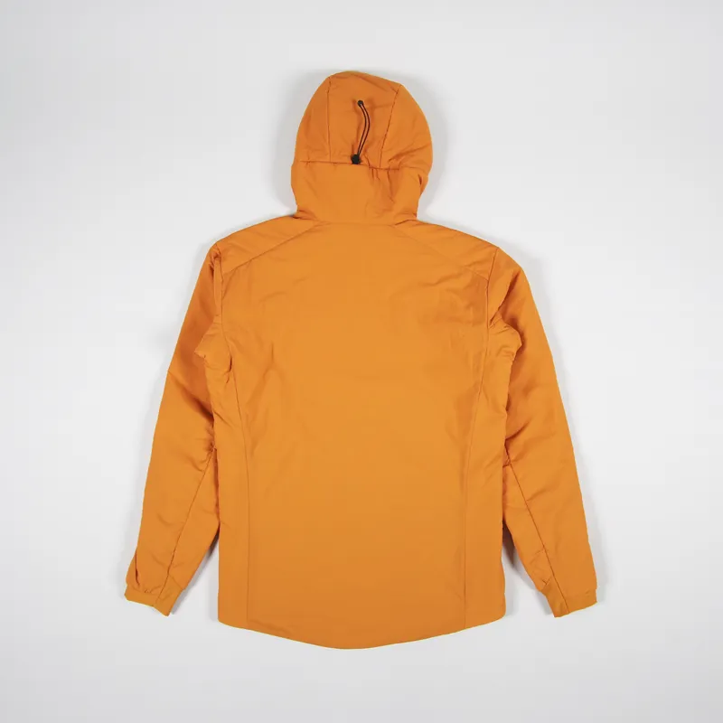 Arc'teryx Proton LT Insulated Down Hoody Wildchild