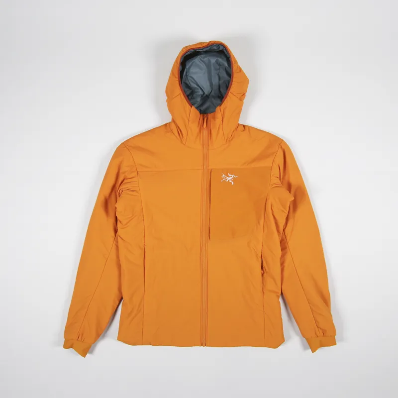 Arc'teryx Proton LT Insulated Down Hoody Wildchild