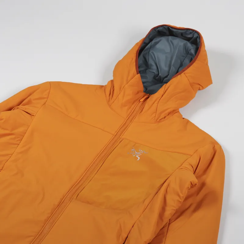 Arc'teryx Proton LT Insulated Down Hoody Wildchild