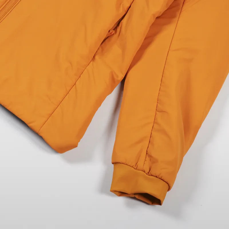 Arc'teryx Proton LT Insulated Down Hoody Wildchild