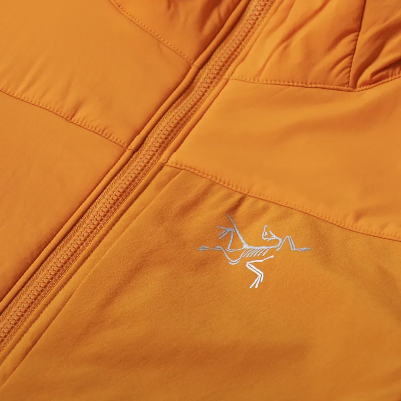 Arc'teryx Proton LT Insulated Down Hoody Wildchild