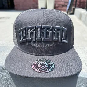 Arched Logo trucker hat (grey)