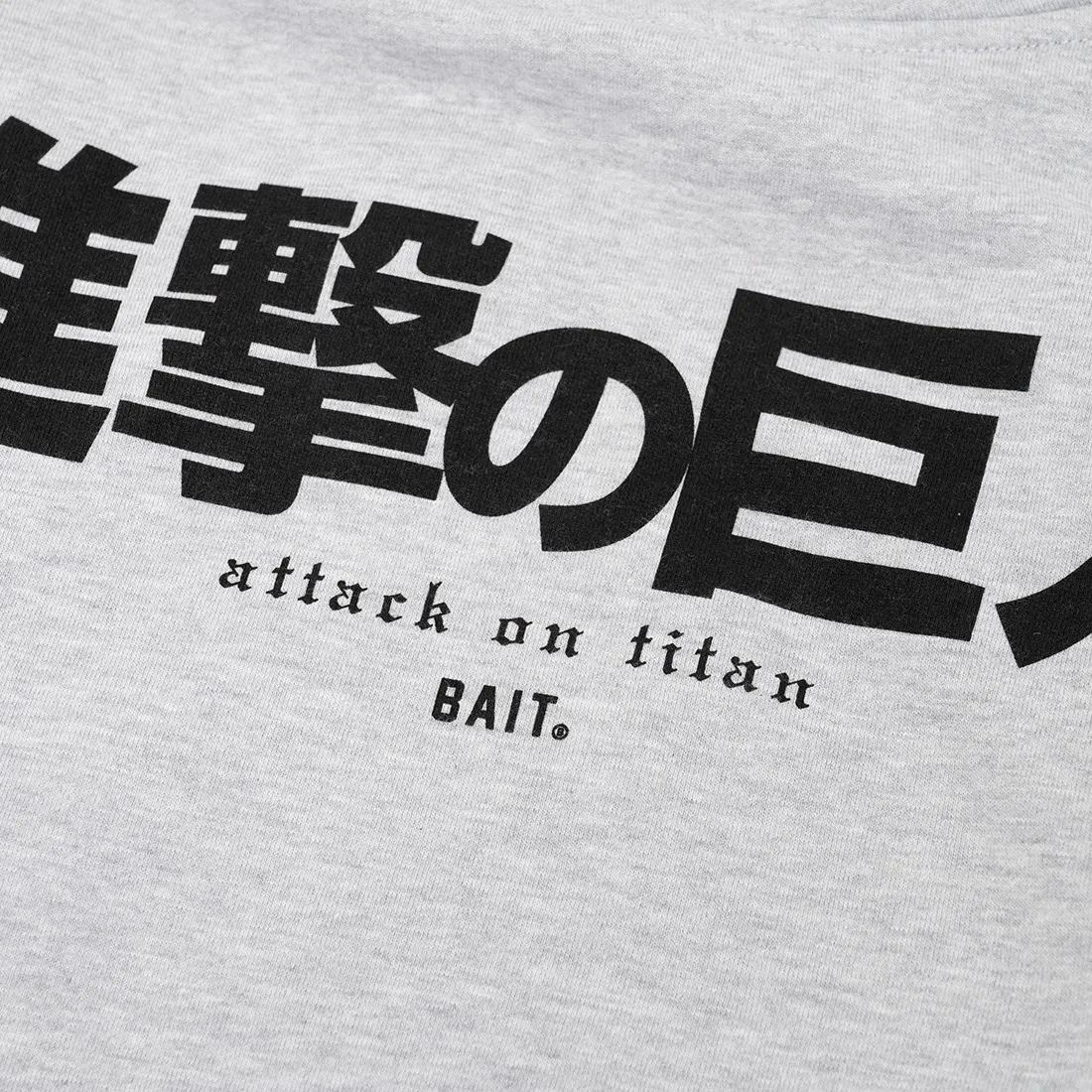 BAIT x Attack On Titan Men Titan BAIT Strategy Hoody (gray)