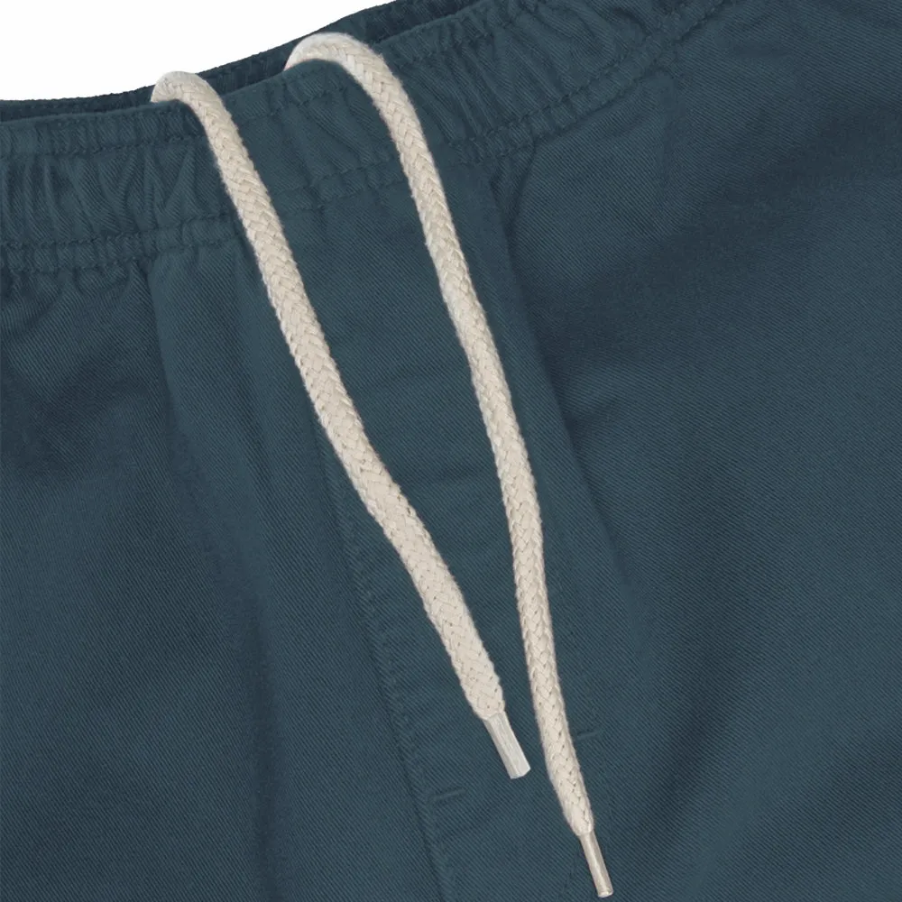 STSSY BRUSHED BEACH PANT // PACIFIC